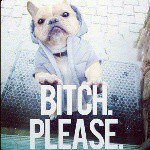 Profile Picture of jason_kaase (@jason_kaase) on Instagram