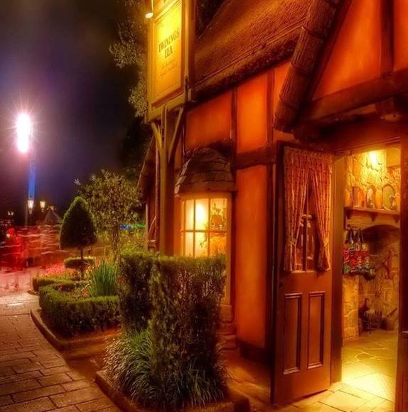 Profile Picture of Darla Antonsen (@darlaantonsen02) on Poshmark