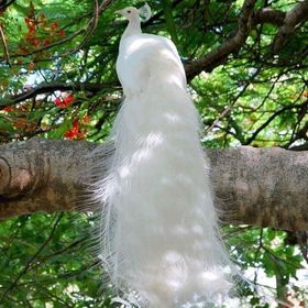 Profile Picture of Karyn Daugherty (@daugherty2068) on Pinterest