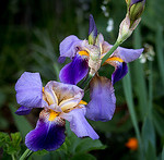 Profile Picture of Mark Buick (@markbuickphotos) on Flickr