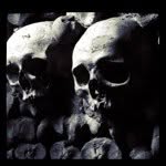 Profile Picture of richardroberts (@richardroberts) on Instagram