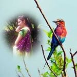 Varsha Jadhav - Instagram Profile Picture of Varsha Jadhav (@varshajadhav882) on Instagram