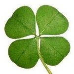 Profile Picture of Alan Parrish (@ruggerdaddy) on Instagram