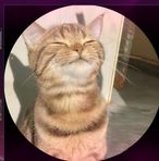 Joey Jr Adriano - Facebook Profile Picture of Joey Jr Adriano (@Joey-Jr-Adriano) on Facebook