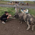 Profile Picture of Randi Honeycutt (@randihoneycutt__24) on Instagram