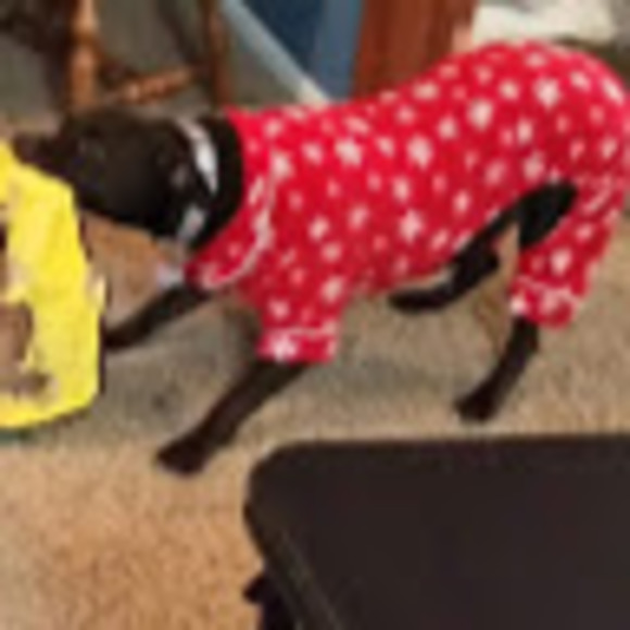 Profile Picture of Rebecca j. Slavinsky (@rslavins) on Poshmark