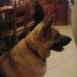 Profile Picture of Loretta Monaco (@saylor.74) on Instagram