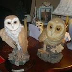 Profile Picture of Beverley Clayton (@beverley.clayton) on Instagram