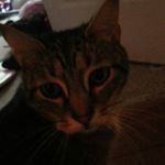 Profile Picture of karsyn airlee vancamp (@karsynairlee) on Instagram