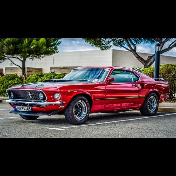 Profile Picture of Joseph Policano (@j_policano25) on Poshmark