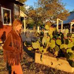 Profile Picture of Jessie Johnson (@littleskyranch) on Instagram
