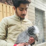 Profile Picture of Naveed Asghar (@asgarnaveed97) on Instagram