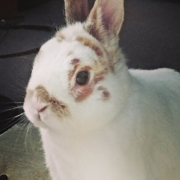 Profile Picture of Jennifer Beardsell (@jwsalem) on Poshmark