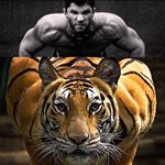 Profile Picture of Stephen Holloway (@stevestrongbody) on Instagram