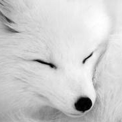 Profile Picture of Ken Phan (@k3n_ph) on Twitter