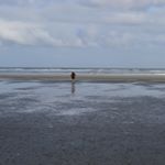 Profile Picture of Steve Moeller (@gentligram) on Instagram