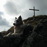 Alexander Kovacic - Instagram Profile Picture of Alexander Kovacic (@kovacicalexander) on Instagram