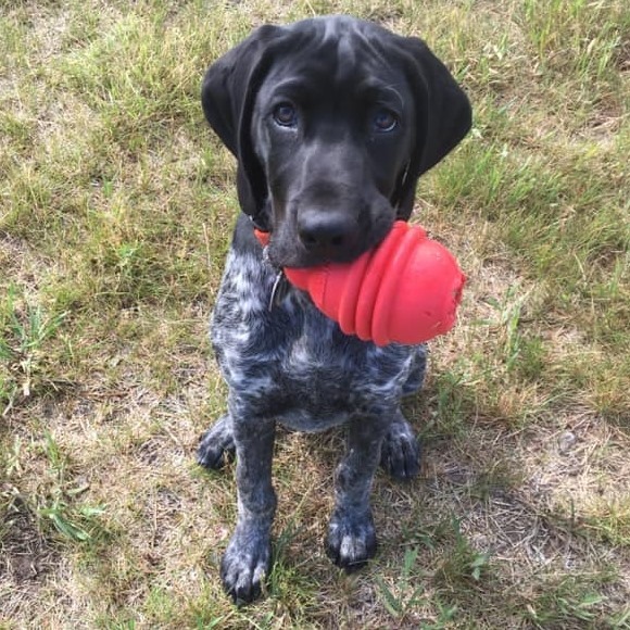 Profile Picture of Katie Rodningen (@katierodningen) on Poshmark