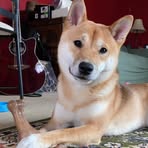 Profile Picture of Tom Edghill (@tom.edghill.77) on Facebook