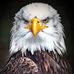Profile Picture of Medo Medo (@nicol.gigorgiva) on Facebook