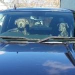 Jonred - Instagram Profile Picture of Jonred (@redmanjon) on Instagram