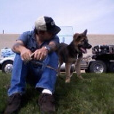 Profile Picture of Stephen Fucile (@Stepho5xgt) on Twitter