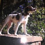 Thomas O'leary - Instagram Profile Picture of Thomas O'leary (@tom_ol_42) on Instagram