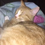 Profile Picture of Jacob De-lags Spam (@jaco.baller) on Instagram