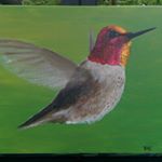 Brian Embleton - Instagram Profile Picture of Brian Embleton (@bembletons) on Instagram