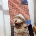 Profile Picture of Darren Lee Crossley (@crossleydarren) on Instagram