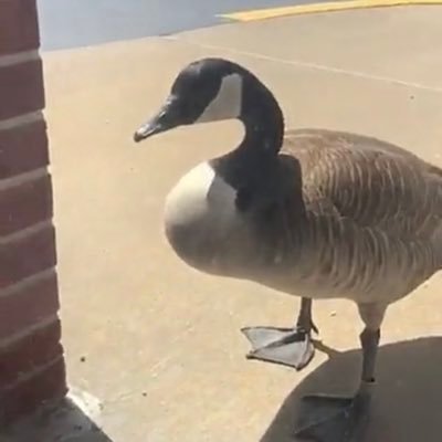 Profile Picture of Aaron (@SSBU_Sunshine) on Twitter