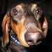 Profile Picture of Robert Stroope (@robert.stroope.5) on Facebook