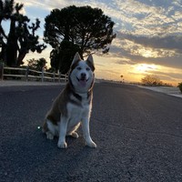 Profile Picture of Jace Gray (@jace-gray-12) on Quora