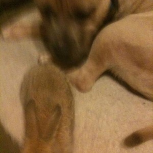 Profile Picture of Andre Arcement (@385069432) on Myspace