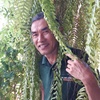 Profile Picture of ครหน บานพก (@@carrybloom0) on Tiktok