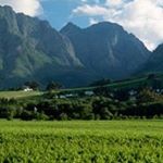 Profile Picture of David Dermody (@daithimacd) on Instagram