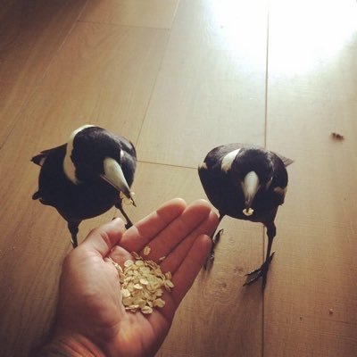 Profile Picture of Jason Heslop (@HeslopJason) on Twitter