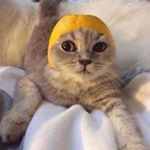 Profile Picture of Jeffrey Valdez (@jeffreyvaldez5446) on Instagram