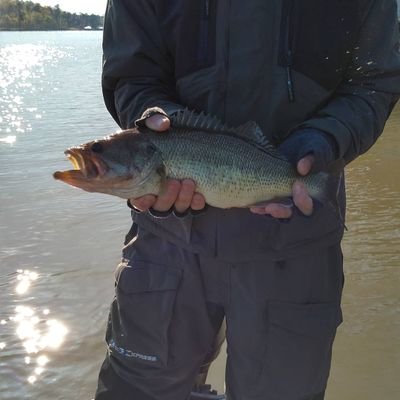 Profile Picture of David Bearden (@DavidBe11036405) on Twitter