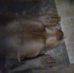 Profile Picture of Kenneth Grauman (@Kenneth-Grauman) on Facebook