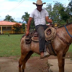 Profile Picture of Cesar Augusto Cobos Herrera (@ccobosherrera) on Pinterest