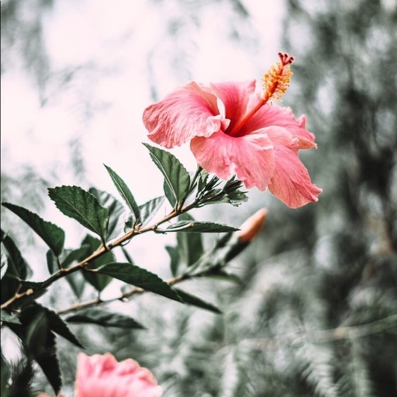 Profile Picture of Jessalin Jauregui (@jessalin45) on Poshmark