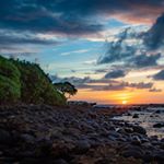 Profile Picture of Michael Miner (@reikiplease) on Instagram