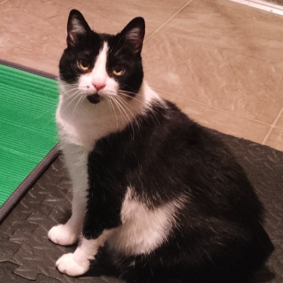 Profile Picture of Lucy Hamper (@lucy_hamper) on Poshmark