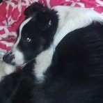 Profile Picture of JannineJoseph Zerres (@Jannine-Joseph-Zerres) on Facebook