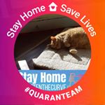 Profile Picture of Claudia Stewart (@gumblygirl) on Instagram