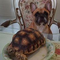 Profile Picture of Karl Li (@karl-li-14) on Quora