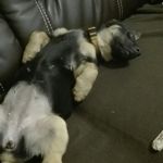 Profile Picture of martina pflanz (@martinapflanz) on Instagram