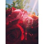 Profile Picture of Brian Francia (@francia3578) on Instagram