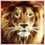 Theo Van Der Plas - Flickr Profile Picture of Theo Van Der Plas (@theo van der plas) on Flickr